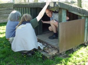 Die Hundehütte soll gerettet werden...