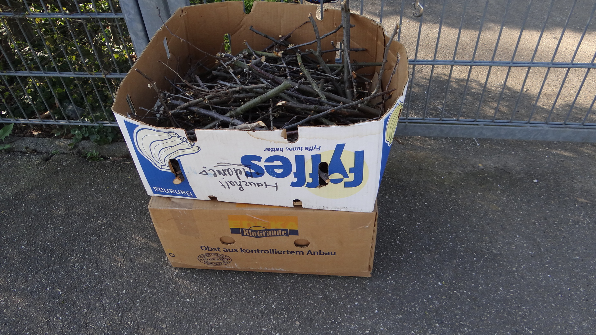 Zwei Kaninchen vor Tierheim ausgesetzt!