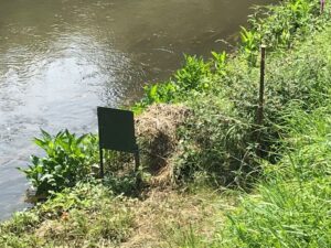 Falle an der Schutter am 24.07.2021