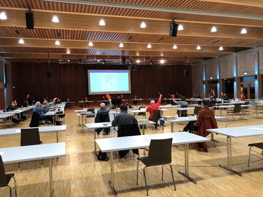 Die Katzenschutzverordnung für Lahr ist beschlossen!