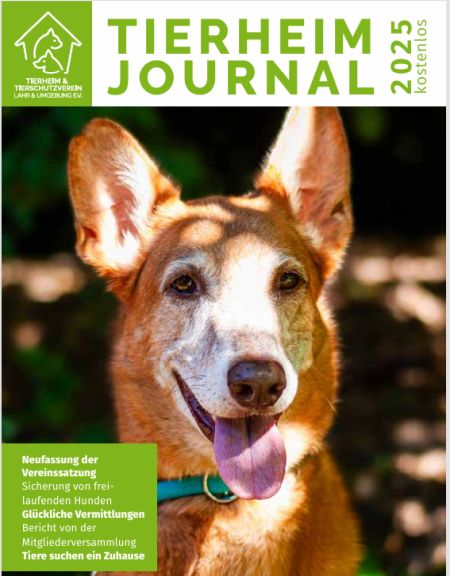 Das neue Tierheimjournal ist da!