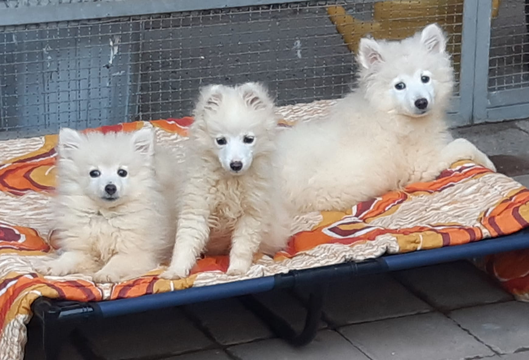 Ein trauriger Wochenrückblick (23.03.25)